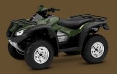 2013 Honda FourTrax Rincon photo